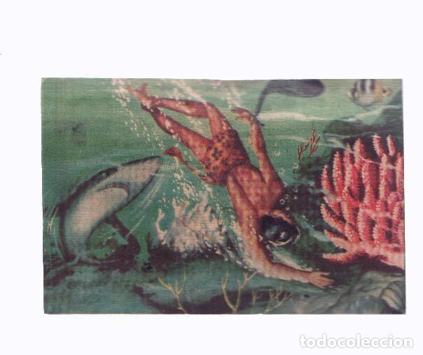 Colecionismo desportivo: Cromos: de la Selva Misteriosa a los abismos del mar: numero 293: Aventura y accion en los fondos ma