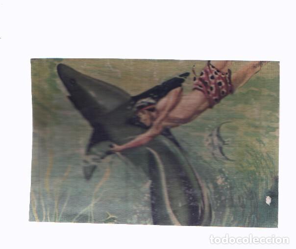 Colecionismo desportivo: Cromos: de la Selva Misteriosa a los abismos del mar: numero 298: Un pez de boca terrible