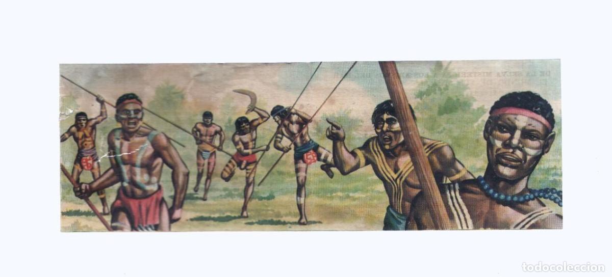 Collezionismo sportivo: Cromos: de la Selva Misteriosa a los abismos del mar: numero 277-278: Costumbres exoticas
