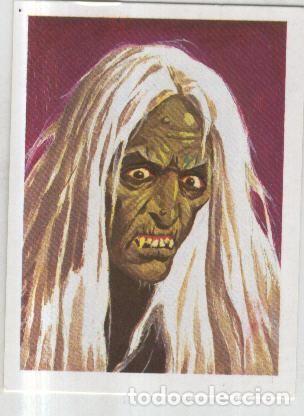 Colecionismo desportivo: Cromos: Historias de Terror numero 049: Bruja - Varios
