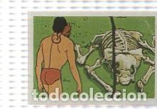 Coleccionismo deportivo: Cromo Tarzan de Editorial Fher numero 109
