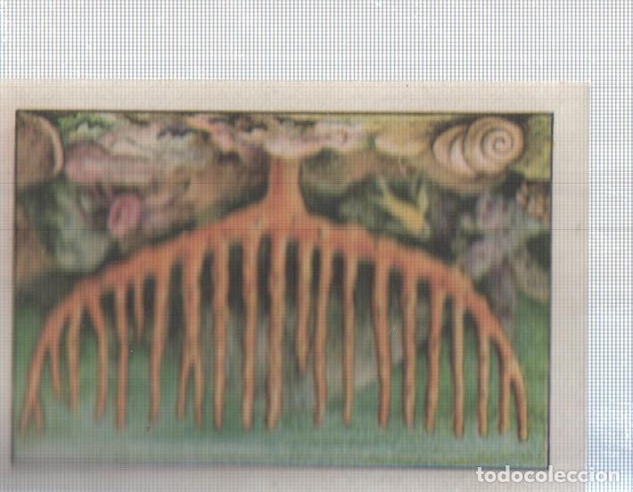 Colecionismo desportivo: Cromo Nestle numerado 032: Corales