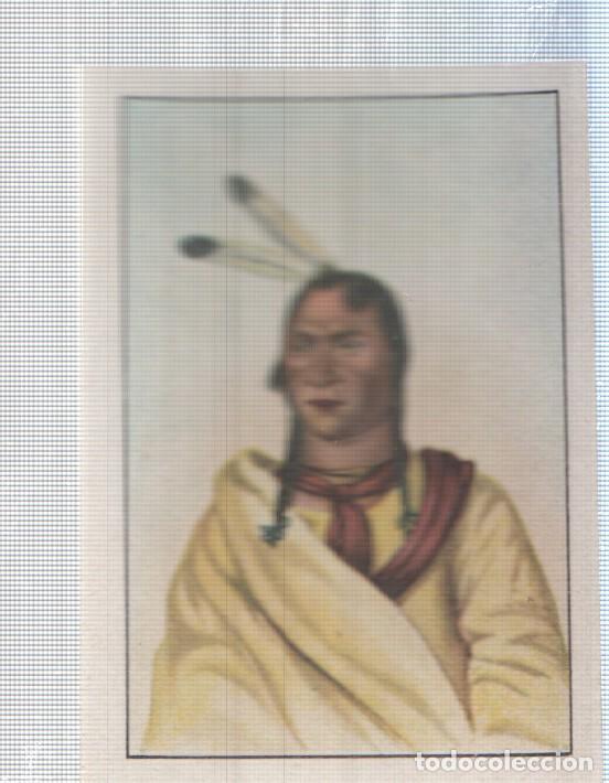 Colecionismo desportivo: Cromo Nestle numerado 104: Indigena americano