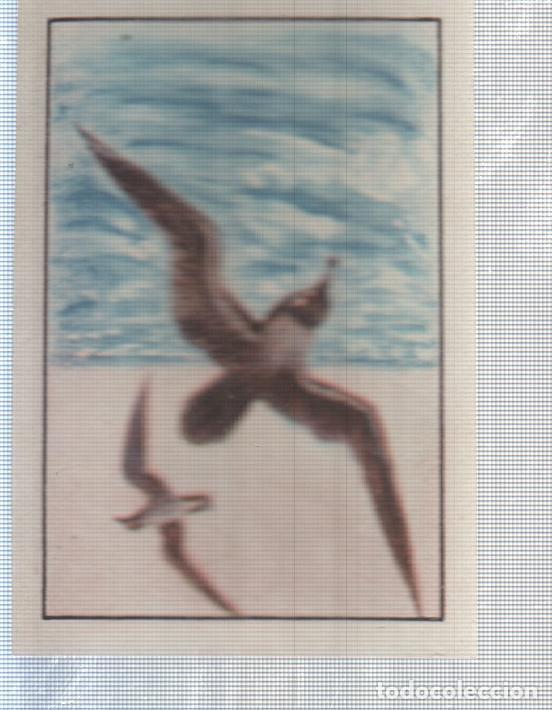 Colecionismo desportivo: Cromo Nestle numerado 139: Aves