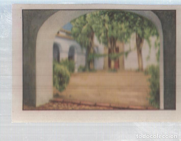 Colecionismo desportivo: Cromo Nestle numerado 164: Casa tipica