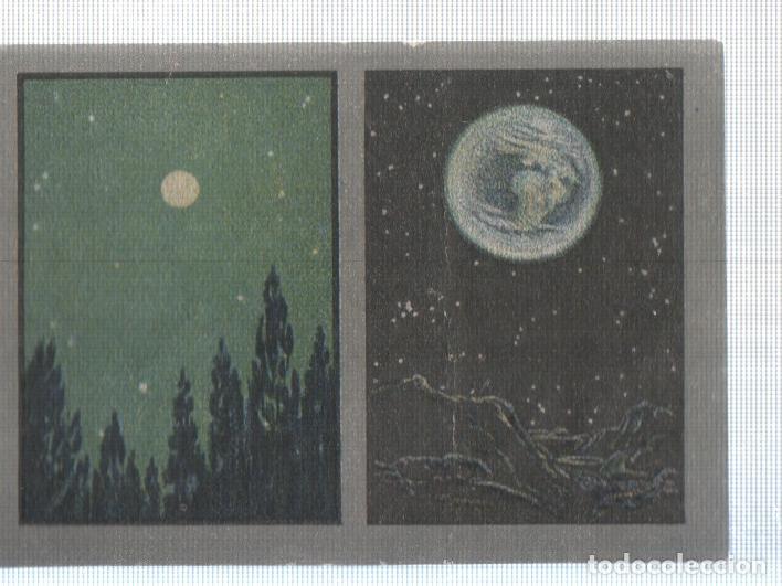 Sports collectibles: Cromo Nestle numerado 265: Astrologia