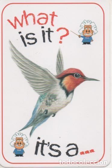 Sports collectibles: Cromo E001673: Cards. What is it? Bird - NULL