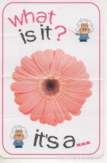 Sports collectibles: Cromo E001695: Cards. What is it?. Flower - NULL