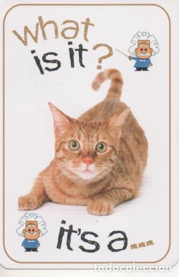 Sports collectibles: Cromo E001690: Cards. What is it? Cat - NULL