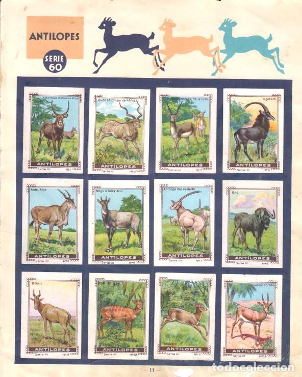 Collectionnisme sportif: Pagina Album cromos: Mi Album Nestle - Series 60/61 - Varios