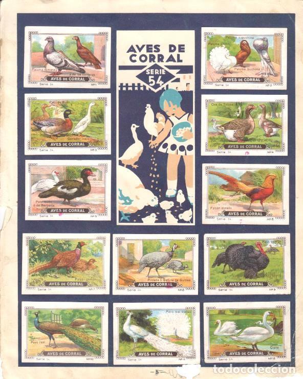 Collectionnisme sportif: Pagina Album cromos: Mi Album Nestle - Series 54/55 - Varios