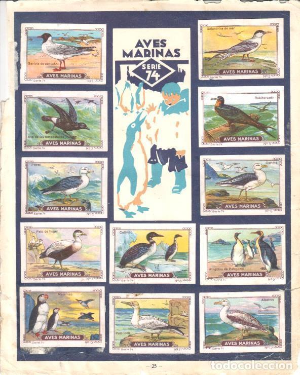 Collectionnisme sportif: Pagina Album cromos: Mi Album Nestle - Series 74/75 - Varios