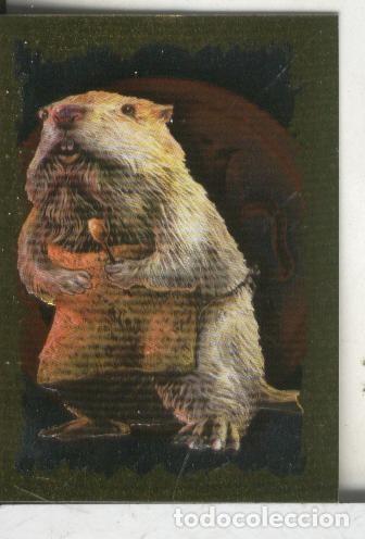 Collectionnisme sportif: Cromos: Narnia letra I - Varios