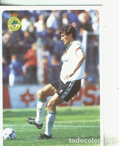 Collezionismo sportivo: Cromos: Las fichas de la liga 95/96-Racing Santander: Quique Setien - Varios