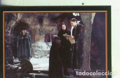 Collectionnisme sportif: Cromos: Narnia numero 049 - Varios