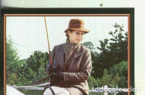 Sports collectibles: Cromos: Narnia numero 014 - Varios