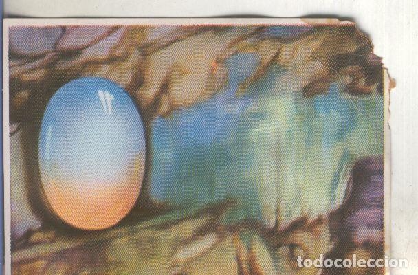 Colecionismo desportivo: Cromos: Historia Natural numero 083 - Varios