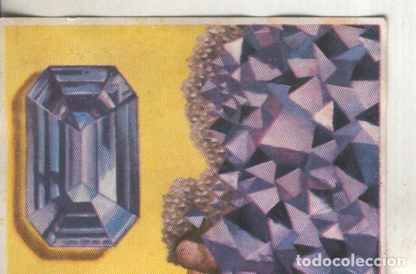 Colecionismo desportivo: Cromos: Historia Natural numero 080 - Varios