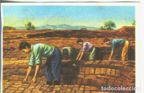 Colecionismo desportivo: Cromos: Historia Natural numero 058 - Varios