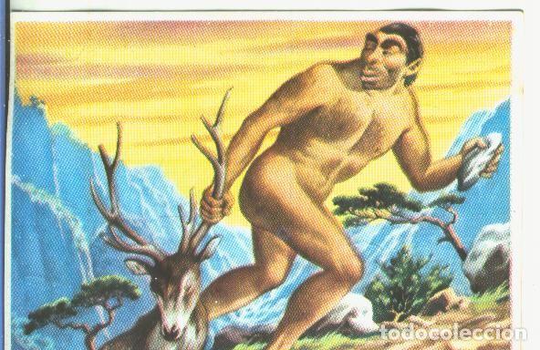 Collectionnisme sportif: Cromos: Historia Natural numero 125 - Varios