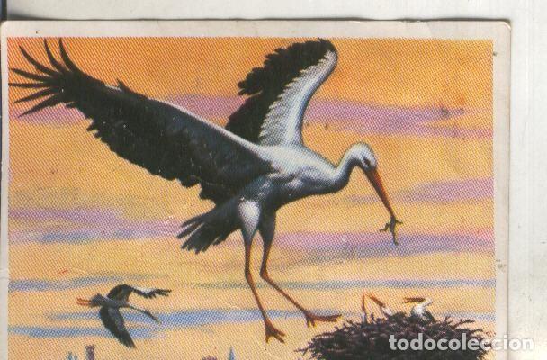 Colecionismo desportivo: Cromos: Historia Natural numero 178 - Varios