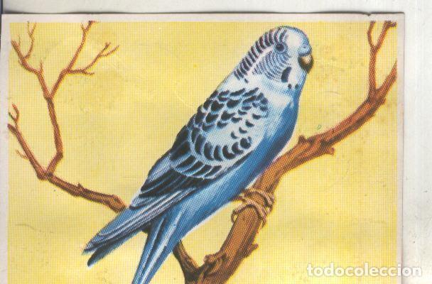 Sammelleidenschaft Sport: Cromos: Historia Natural numero 208 - Varios