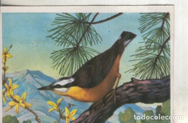 Collezionismo sportivo: Cromos: Historia Natural numero 216 - Varios