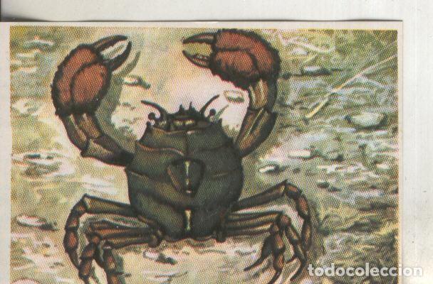 Coleccionismo deportivo: Cromos: Historia Natural numero 259 - Varios
