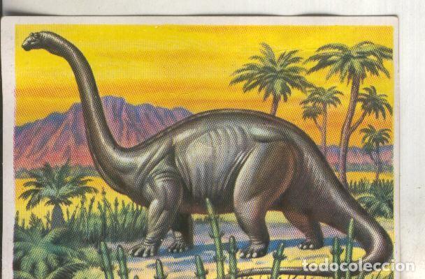 Collezionismo sportivo: Cromos: Historia Natural numero 302 - Varios