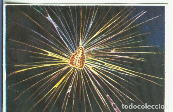 Collectionnisme sportif: Cromos: Historia Natural numero 343 - Varios