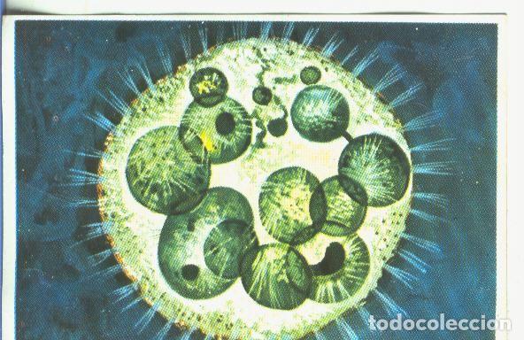 Collectionnisme sportif: Cromos: Historia Natural numero 344 - Varios