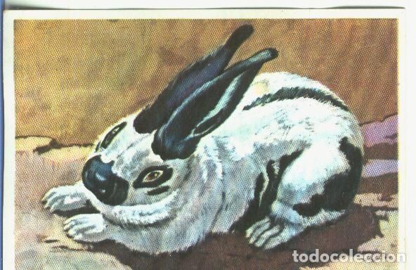 Collectionnisme sportif: Cromos: Historia Natural numero 358 - Varios