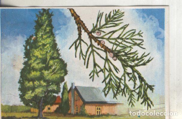 Collectionnisme sportif: Cromos: Historia Natural numero 395 - Varios