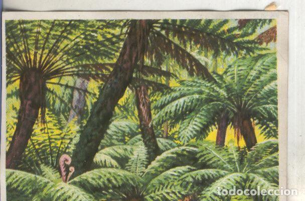Collectionnisme sportif: Cromos: Historia Natural numero 402 - Varios