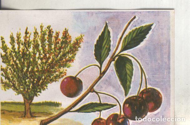 Collectionnisme sportif: Cromos: Historia Natural numero 422 - Varios