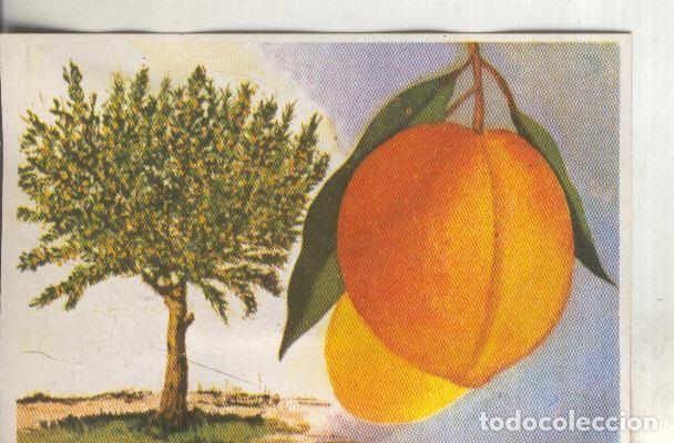 Collezionismo sportivo: Cromos: Historia Natural numero 419 - Varios