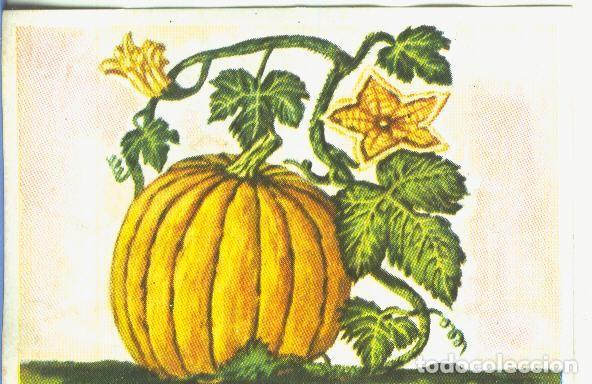 Coleccionismo deportivo: Cromos: Historia Natural numero 465 - Varios