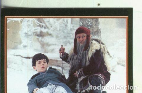 Collezionismo sportivo: Cromos: Narnia numero 032 - Varios
