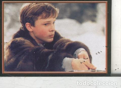 Sports collectibles: Cromos: Narnia numero 079 - Varios