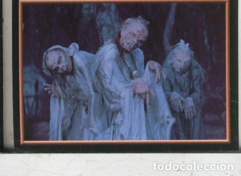 Sports collectibles: Cromos: Narnia numero 090 - Varios