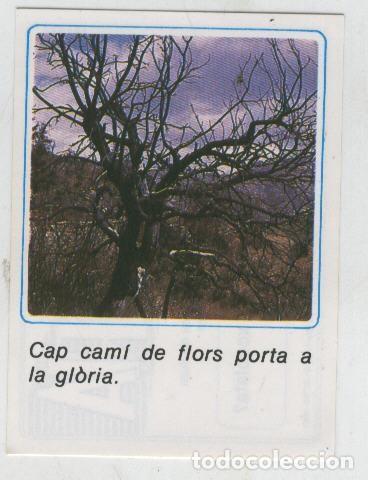 Collezionismo sportivo: Cromos: Missatges D&acute;alegria numerado 30 - Varios