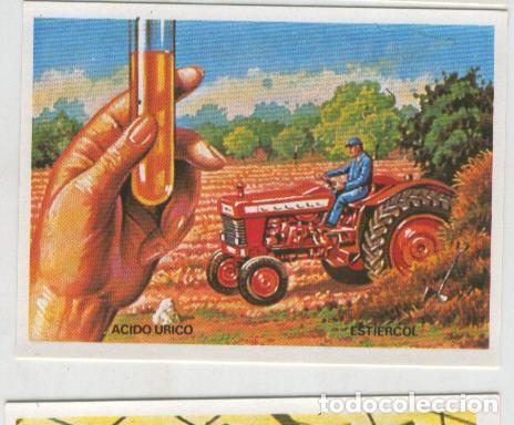 Collezionismo sportivo: Cromos: Sabias que....? numero 08 - Varios