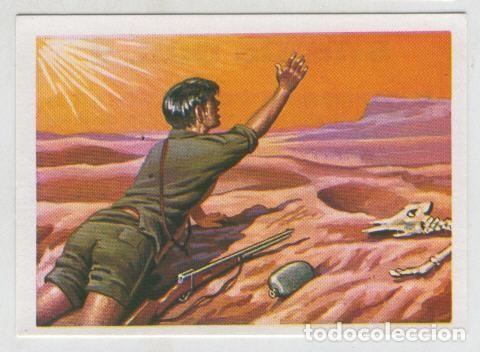 Collezionismo sportivo: Cromos: Sabias que....? numero 22 - Varios