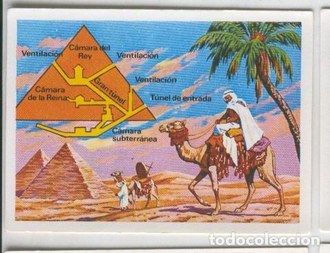 Collezionismo sportivo: Cromos: Sabias que....? numero 31 - Varios