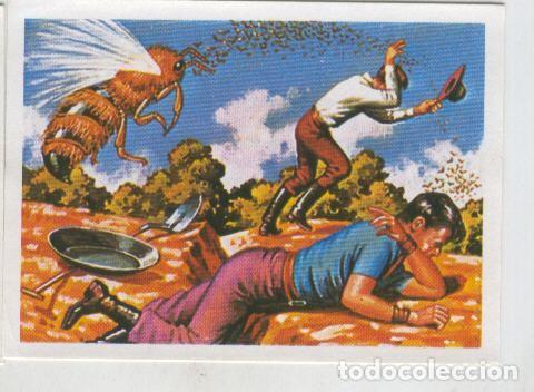 Coleccionismo deportivo: Cromos: Sabias que....? numero 66 - Varios
