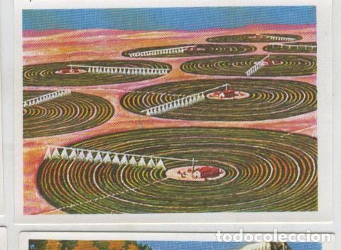 Coleccionismo deportivo: Cromos: Sabias que....? numero 62 - Varios