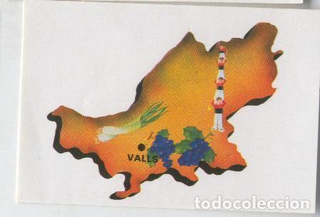 Coleccionismo deportivo: Cromos: Provincias de Catalu&ntilde;a numero 21: Alt Camp - Varios