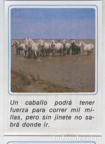 Collezionismo sportivo: Cromos: Mensajes de Alegria numerado 03 - Varios