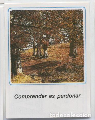 Collezionismo sportivo: Cromos: Mensajes de Alegria numerado 35 - Varios