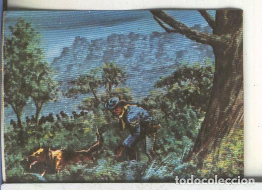 Sammelleidenschaft Sport: Cromos: Rin Tin Tin numero 141 - Varios